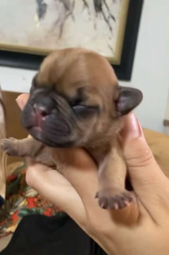 Lucy's Litter photo 2