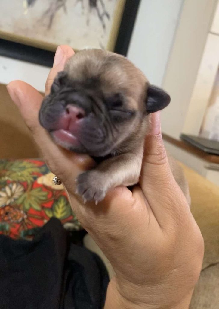 Lucy's Litter photo 3